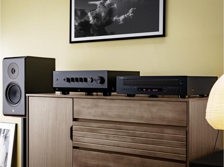 Actual product image Yamaha CD-C603 (CD changer)