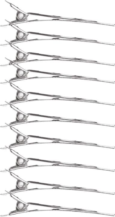 Actual product image XanitaliaPro Steel hair clips (12 pcs.)