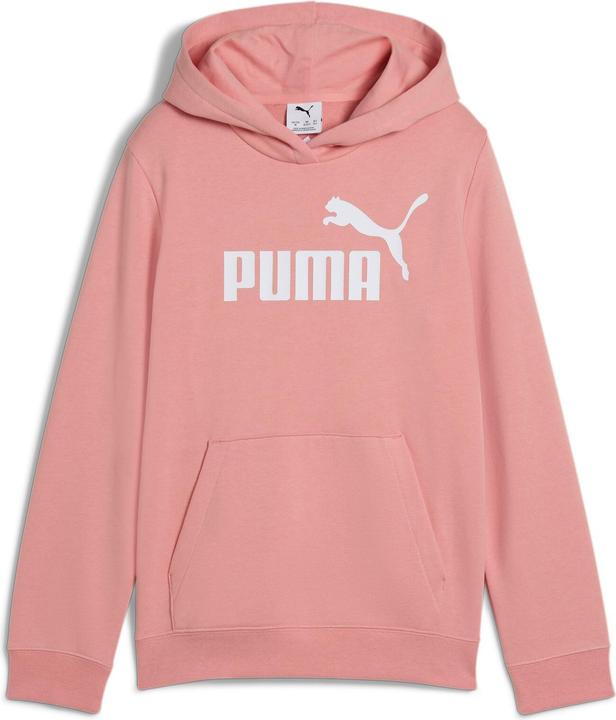 Puma ESS No. 1 Logo Hoodie TR G