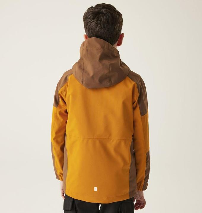 Actual product image Regatta Trekktain 3in1 (164)