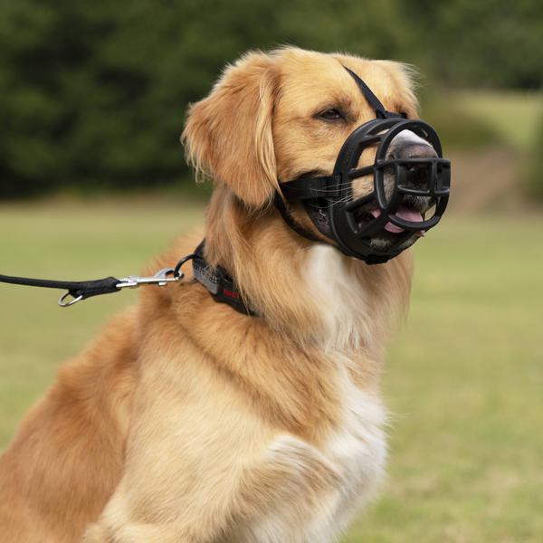 Immagine prodotto Company of Animals Museruola Ultra Muzzle (4, Cane, Generale)