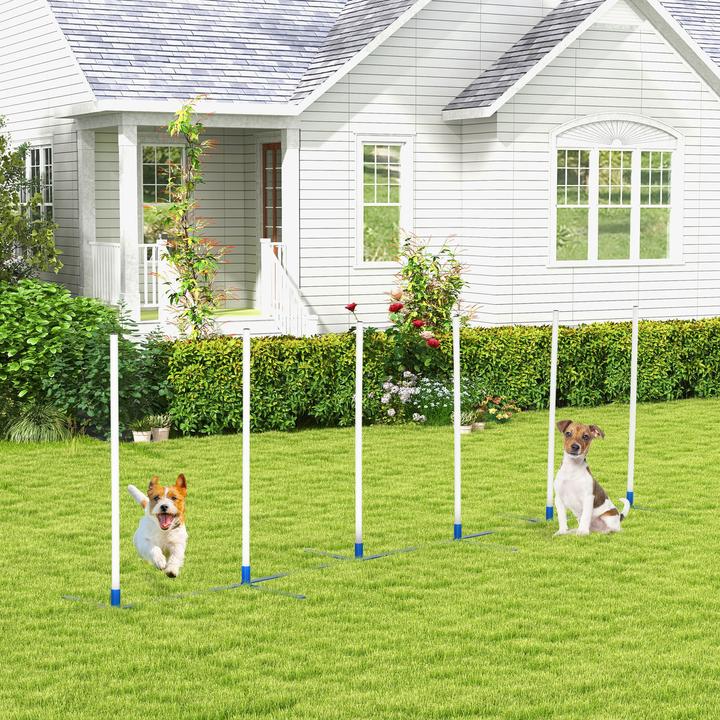 Immagine prodotto PawHut Set di addestramento per cani con borsa (Destrezza)