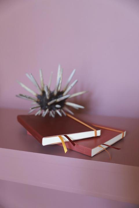 Image du produit Rhodia Goalbook couverture souple (A5, Quadrillé, Couverture rigide)