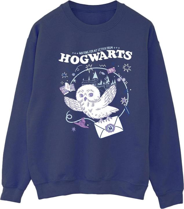 Owl Letter From Hogwarts Sweatshirt (XL)