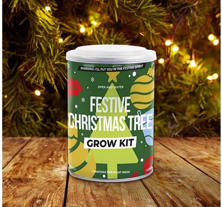 TOP Weihnachtsbaum aus der Dose
