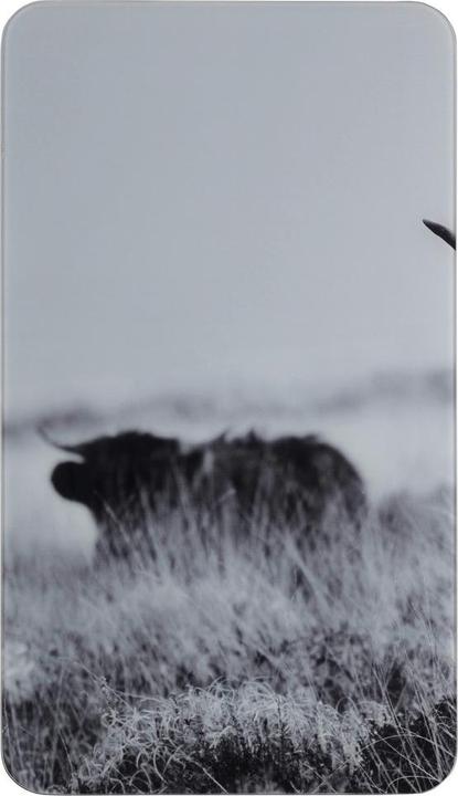 Image du produit Wenko Plaques de cuisson Highland Cattle noir 2 pcs.