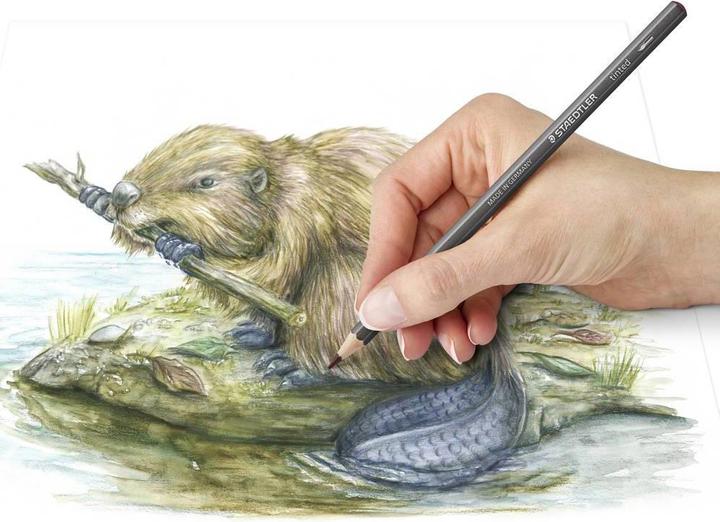 Actual product image Staedtler tinted 146 10T Tinted watercolour pencils (12 colours, 1 x)