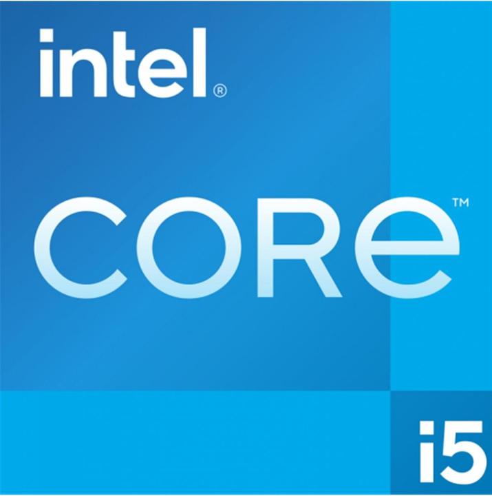 Intel Core i5-12600 (LGA 1700, 3.30 GHz, 6 -Core)