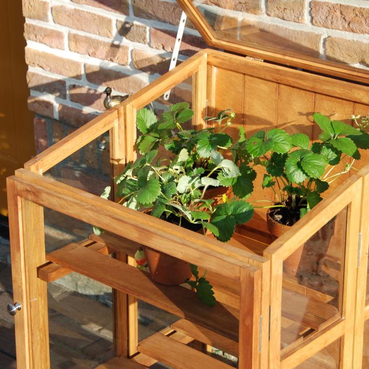 Produktbild Esschert Design Gewächshaus