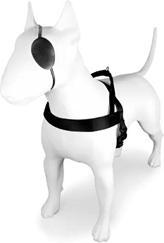 Actual product image MORSO Norwegian Hondentuig Gerecycled Pureness Zwart (Dog)