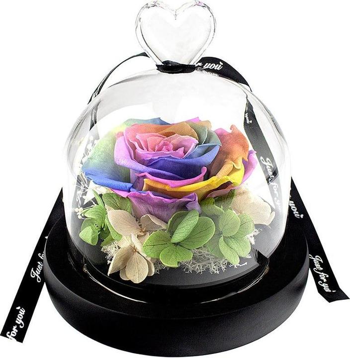 Immagine prodotto JTI Piccola rosa in una campana di vetro - colori dell'arcobaleno (15 cm)