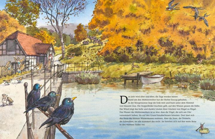 Actual product image Der kleine Wassermann. Herbst im Mühlenweiher (German, Otfried Preussler, Regine Stigloher, Daniel Napp, 2014)