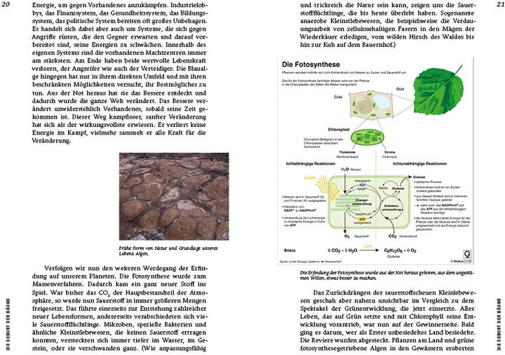 Actual product image Strategien der Natur (German, Erwin Thoma, 2019)
