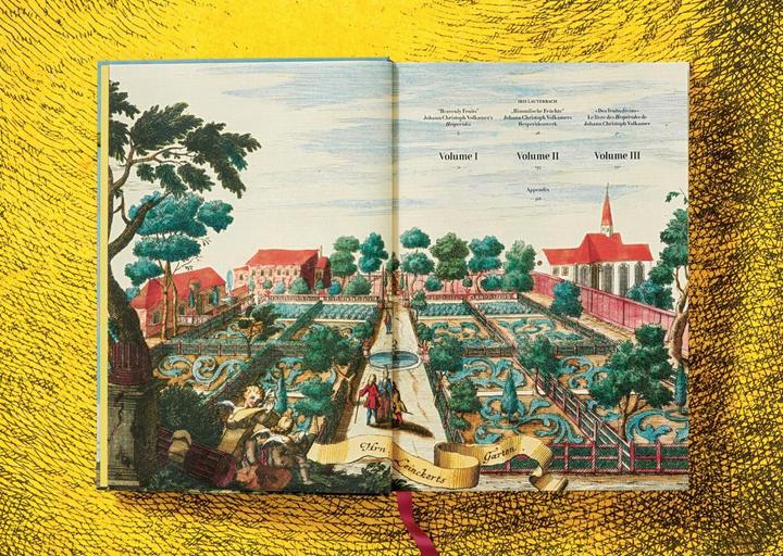 Actual product image J. C. Volkamer. The Book of Citrus Fruits (German, French, English, Iris Lauterbach, 2020)