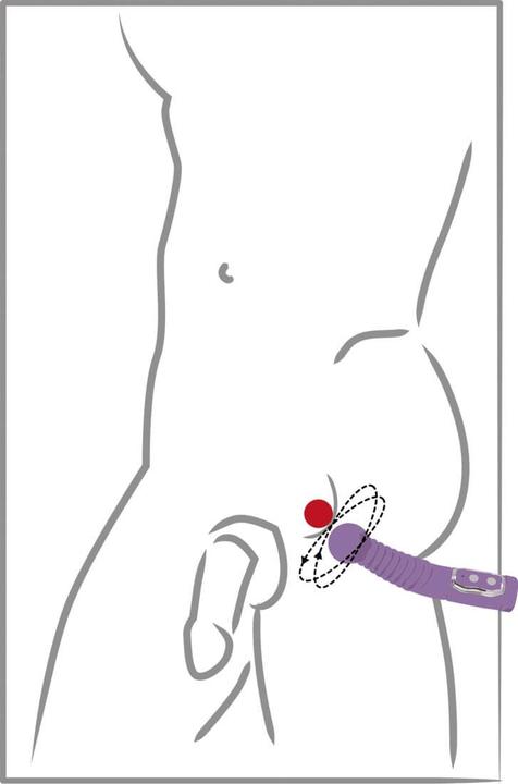 Image du produit You2Toys Prostate Twister