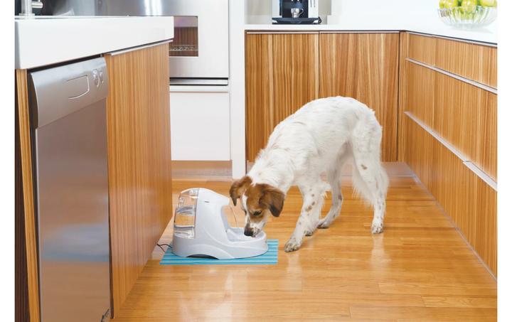 Image du produit PetSafe Platine (5 l)
