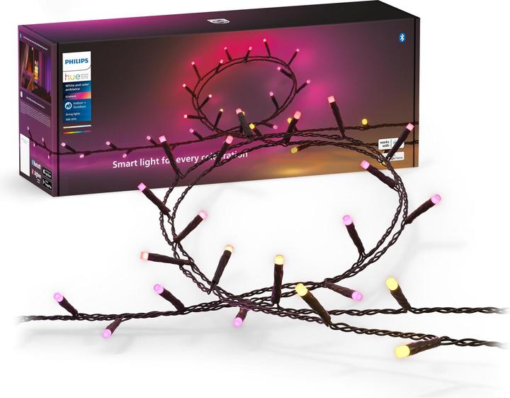 Actual product image Philips Hue Festavia (Swiss plug) (40 m)