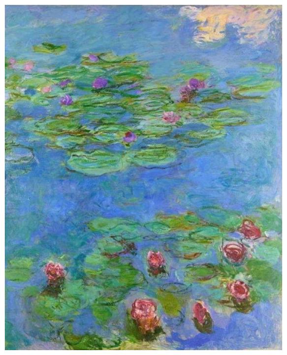 Actual product image Bluebird 60062 Puzzle 1000 pcs. Museum Series Claude Monet - Water Lilies, 1917 (1000 pieces)