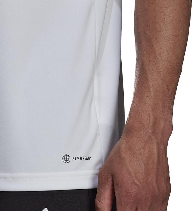 Actual product image adidas Entrada 22 polo shirt men (S)