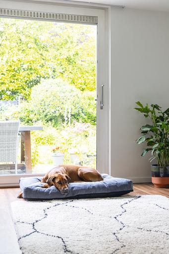 Image du produit Beeztees Coussin de couchage Orthopedic Veo (Chien)