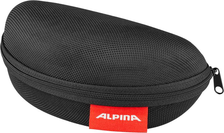 Actual product image ALPINA SPORTS Tri-Effect 2.0 (Grey, Black)