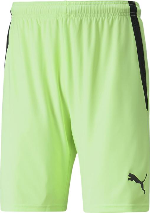 Puma teamLIGA Shorts