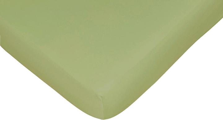 oasis lime