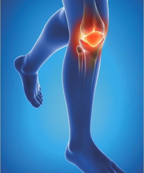 Actual product image Epitact Physiostrap (XL)