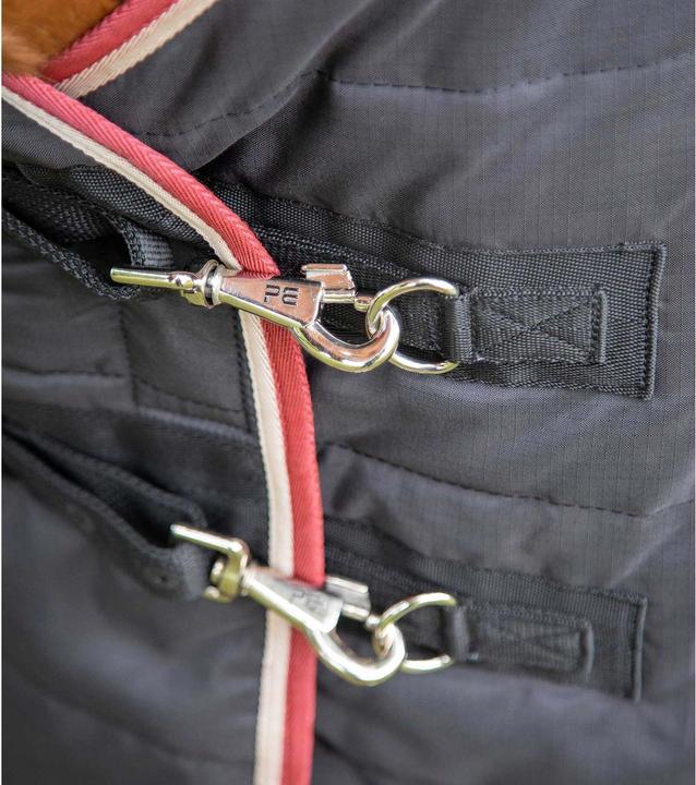 Image du produit Premier Equine Garissa 100 g (160 cm)