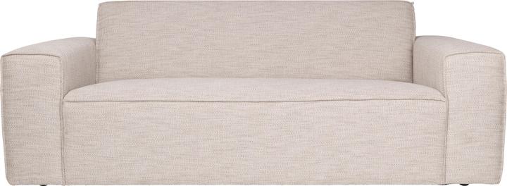 Actual product image Zuiver Boron (2 person sofa)