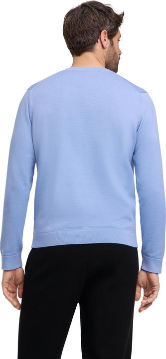 Actual product image Falke FAV Cotton V-Neck m (XL)