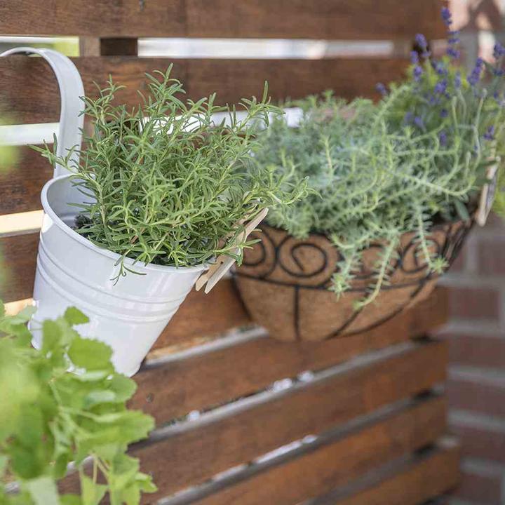 Actual product image Siena Garden Pflanzgefäss (16 cm)