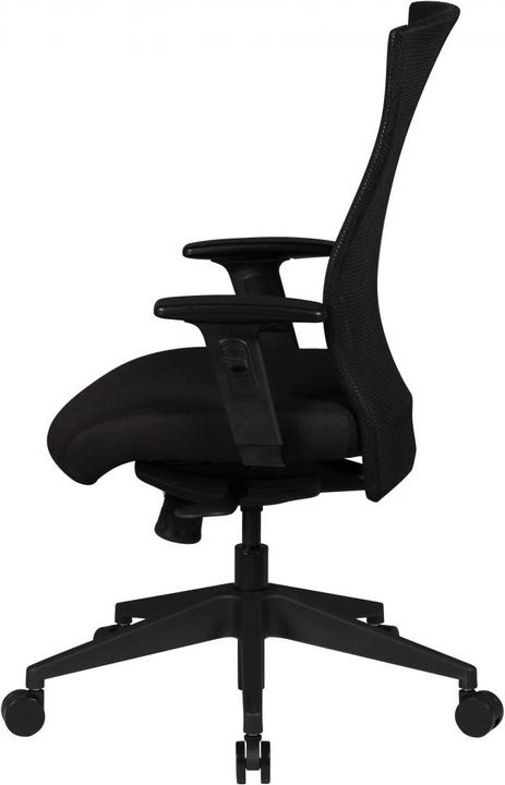 Actual product image Amstyle David