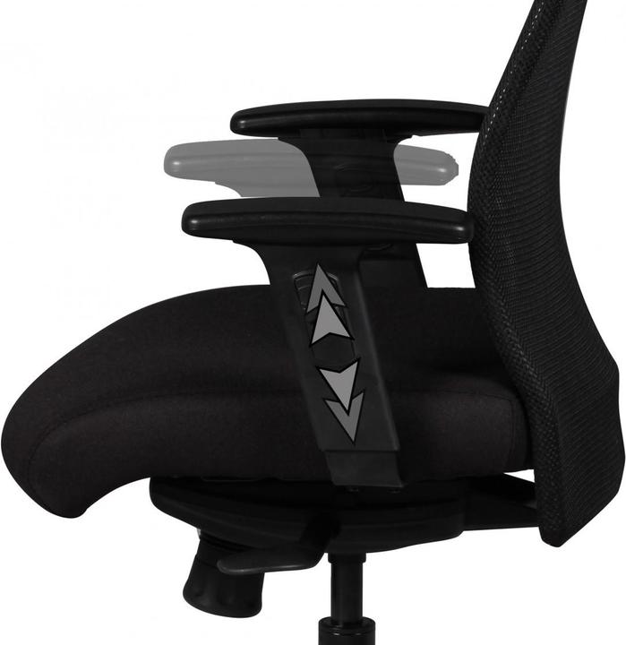 Actual product image Amstyle David