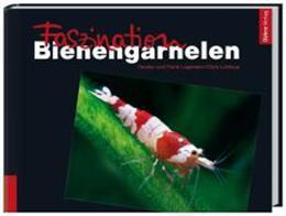 Produktbild Faszination Bienengarnelen (Deutsch)