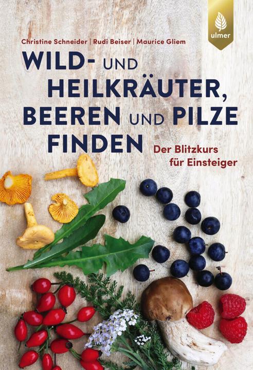 Produktbild Wild- und Heilkräuter, Beeren und Pilze finden (Deutsch, Rudi Beiser, Christine Schneider, Maurice Gliem, 2024)