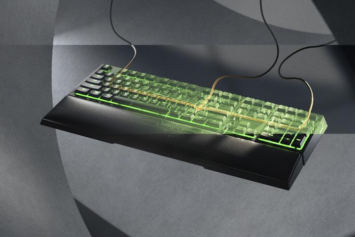 Actual product image Razer Ornata V2 (US, Cable)
