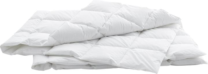 Immagine prodotto Billerbeck Edition Thea Clima Light (570 g, 160 x 240 cm)