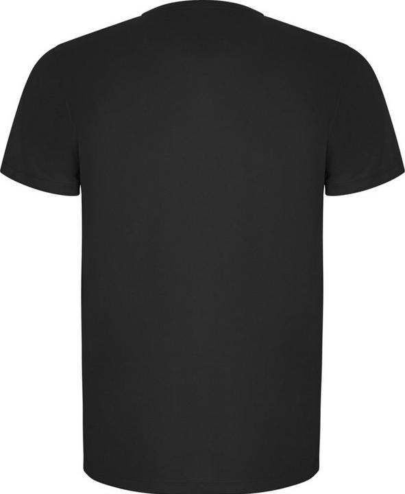 Actual product image Alpinia Mens Imola Short-Sleeved Sports T-Shirt (S)