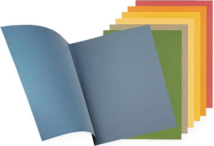 Actual product image Falken File collector (A4, 1 x)