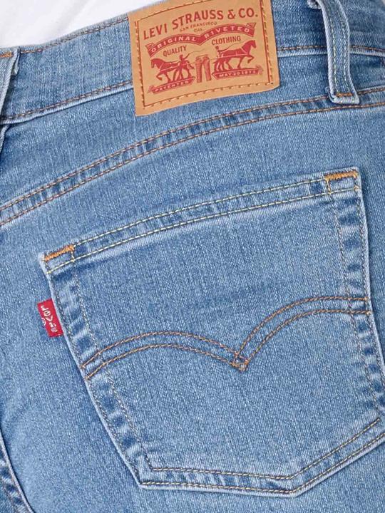Image du produit Levis 10020251 (W31/L30)