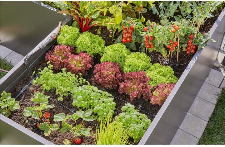 Produktbild Gardena Verschlussstopfen 4,6 mm (Tropfbewässerung Verbinder + Abzweiger)