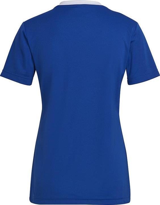 Actual product image adidas Entrada 22 Women's Football Shirt (M)
