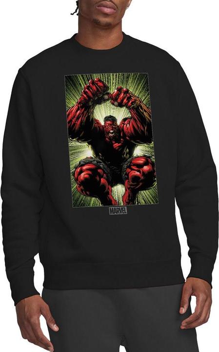 Immagine prodotto Sweatshirt (XXL)