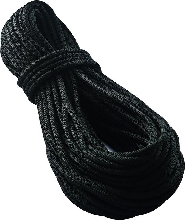 Tendon Smart 10.0 Kletterseil schwarz (70 m)