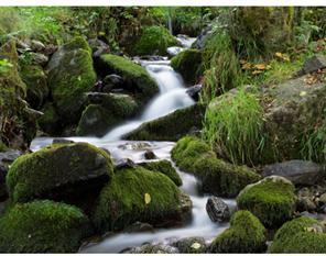 Produktbild Tiffen 72MM NEUTRAL DENSITY 1.2 (72 mm, ND- / Graufilter, 72 mm)
