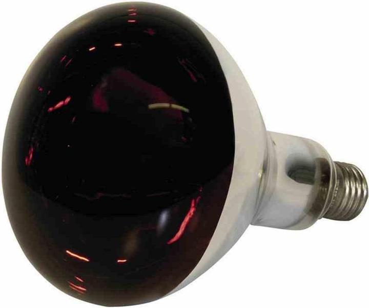 Kerbl Infrarotlampe zu Wärmestrahler (250 W)