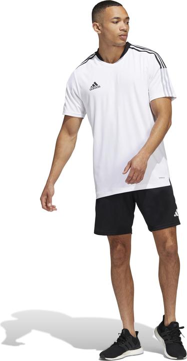 Produktbild adidas Tiro 23 Competition Trainingsshorts Herren (XL)