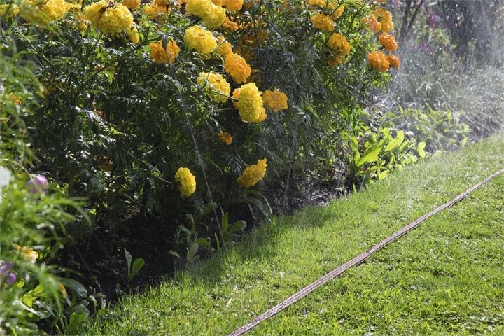 Produktbild Gardena Regner 1998-20 (Schlauchregner)