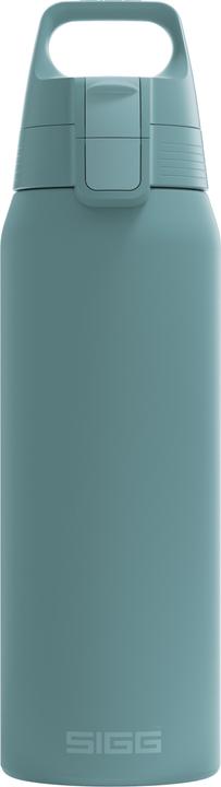 Morning blue